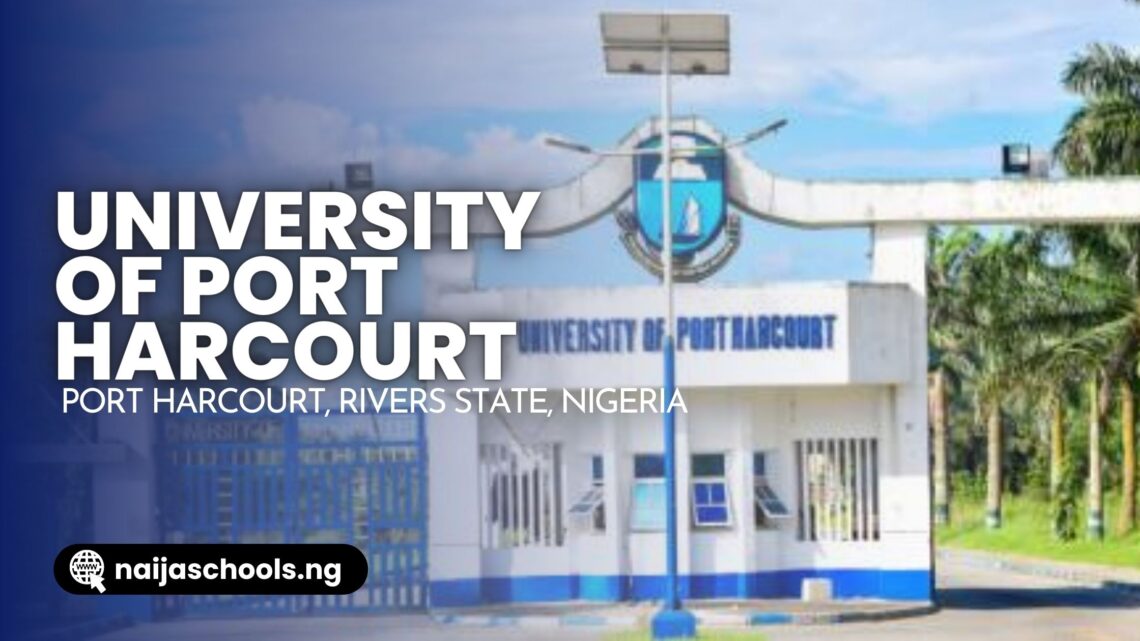 Best Universities In Nigeria (2024/2025) - Top 20 — Naija Schools